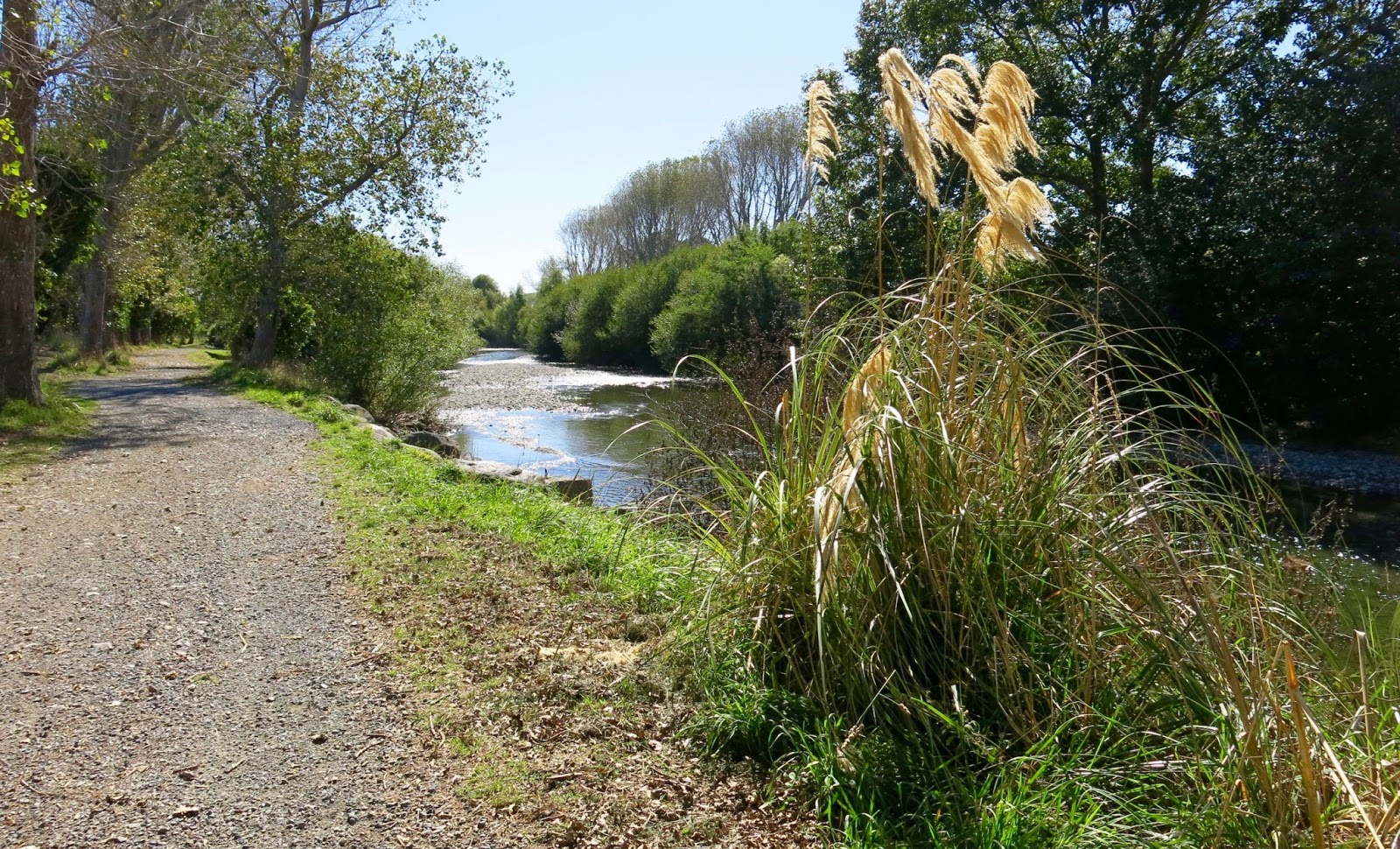 Waikanae River Walk